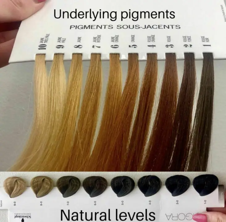 Underlying Pigments and natural hair color levels