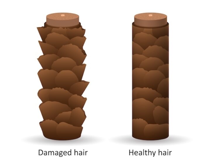 How to Repair Damaged Hair - Damaged vs Healthy Cuticle
